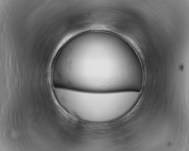 X0000102351342200808010927