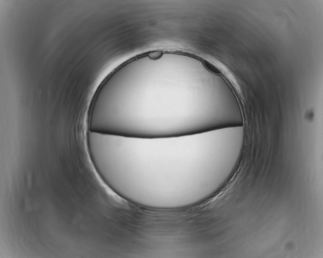 X0000102351343200808010927