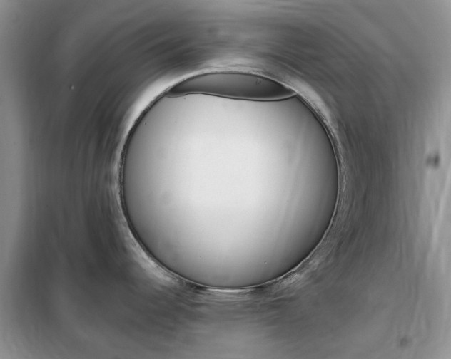 X0000102351344200808010927