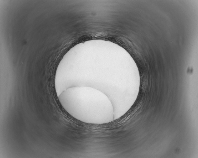 X0000102351345200808010926