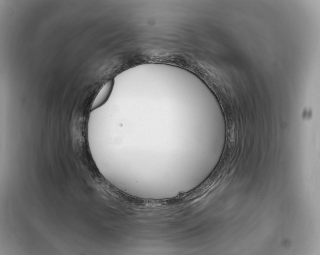 X0000102351346200808010926