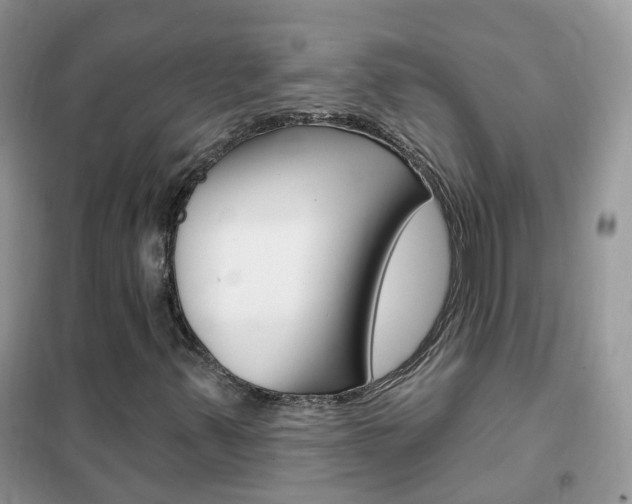 X0000102351347200808010926