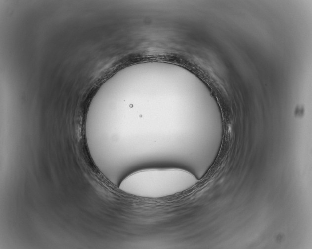 X0000102351348200808010926