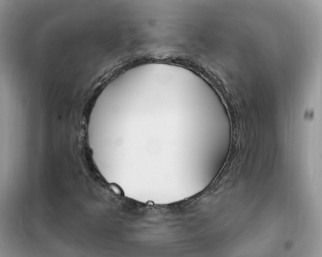 X0000102351349200808010926