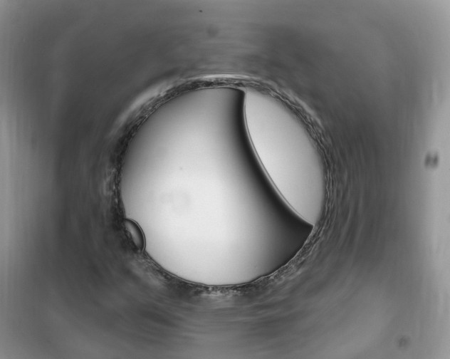 X0000102351351200808010926