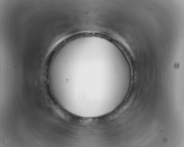 X0000102351352200808010926