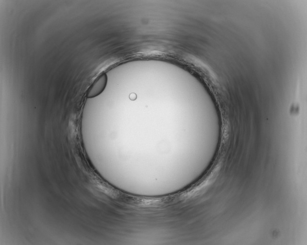 X0000102351353200808010926