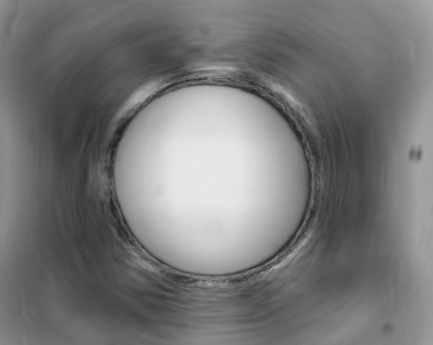 X0000102351354200808010926