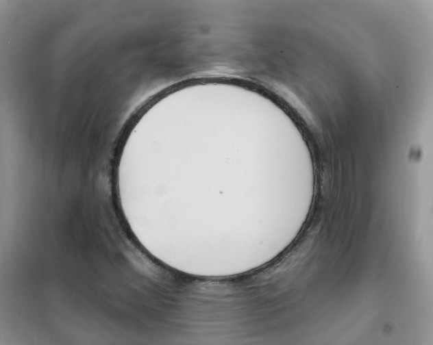 X0000102351356200808010926