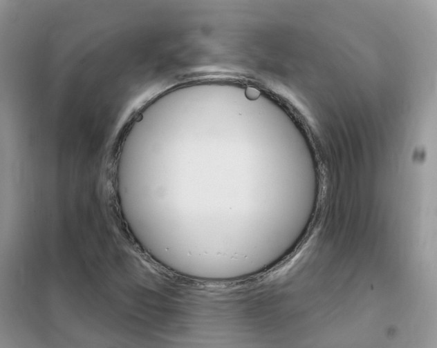 X0000102351357200808010926