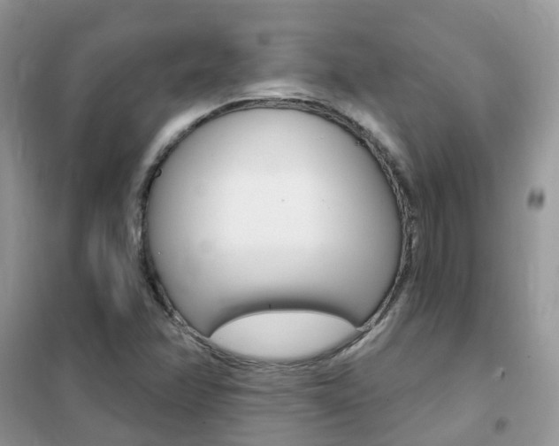 X0000102351358200808010926