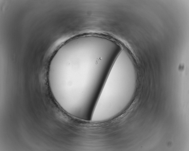 X0000102351359200808010926
