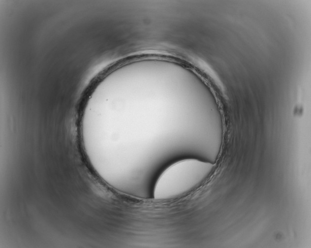 X0000102351360200808010926