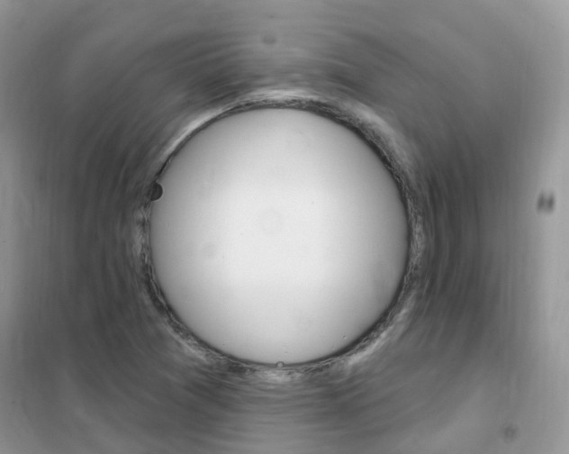 X0000102351361200808010926