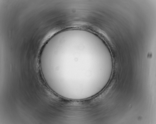 X0000102351362200808010926
