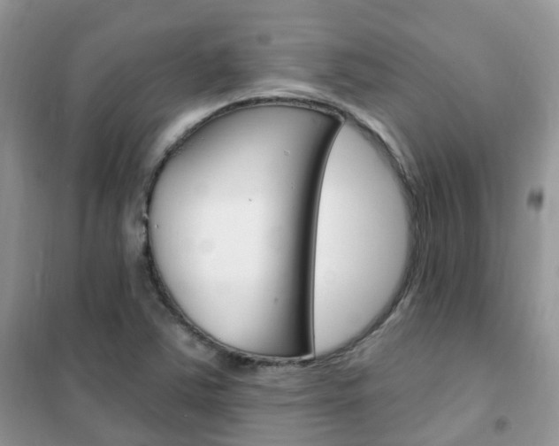X0000102351363200808010926