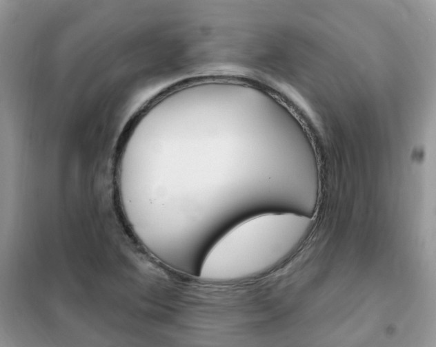X0000102351364200808010926