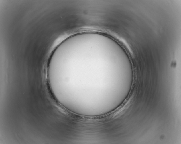 X0000102351365200808010926
