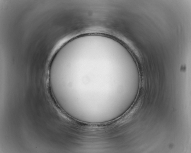 X0000102351366200808010926