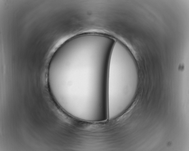 X0000102351367200808010926