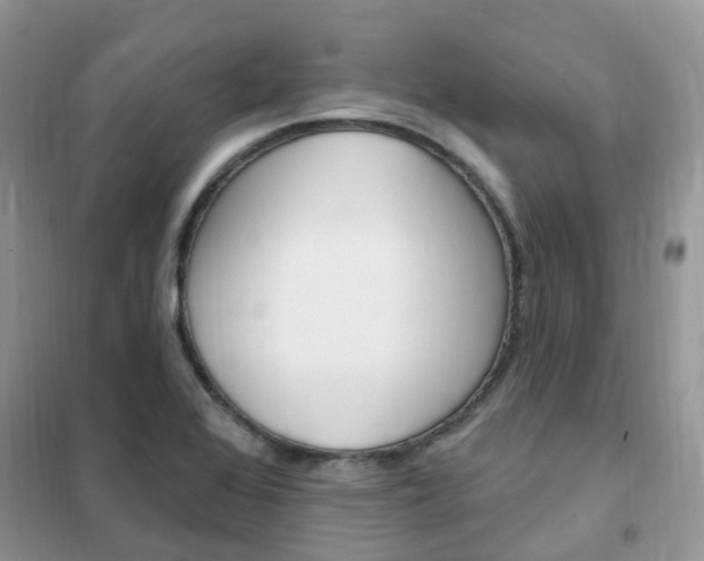 X0000102351368200808010926