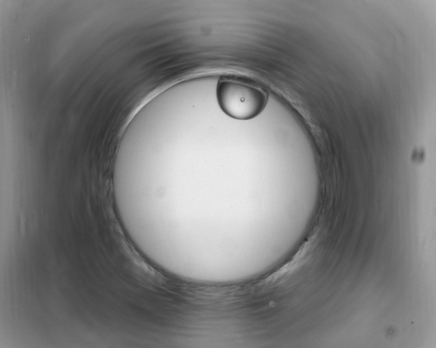 X0000102351369200808010926