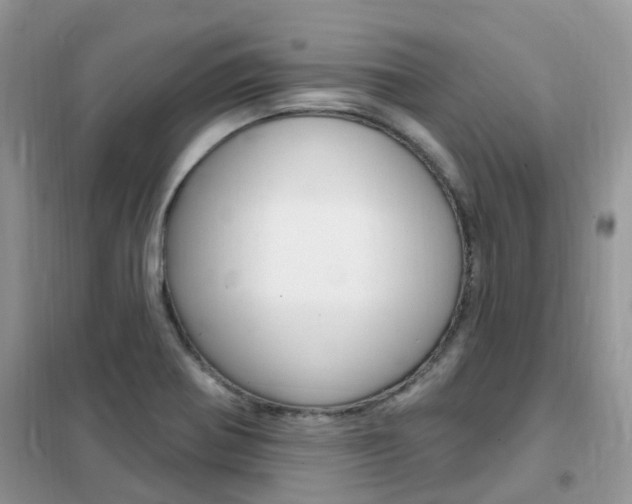 X0000102351370200808010926