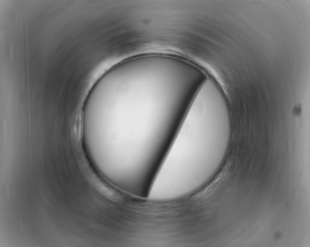 X0000102351371200808010926