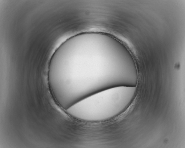 X0000102351374200808010926