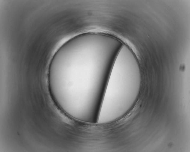 X0000102351375200808010926