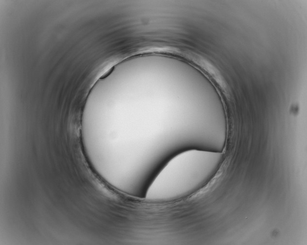 X0000102351377200808010926