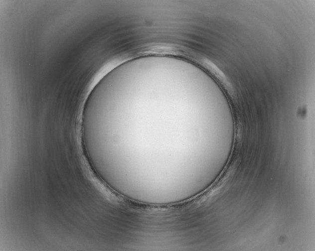 X0000102351378200808010926