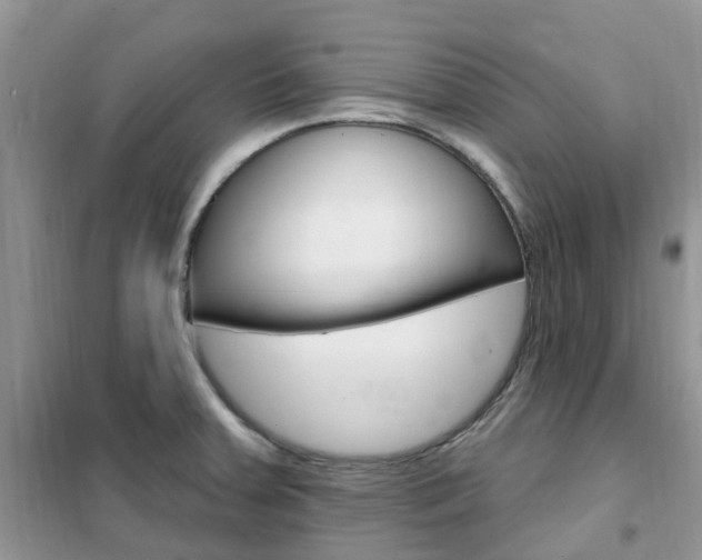X0000102351379200808010926