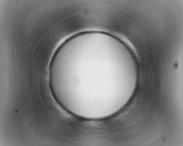 X0000102351380200808010926