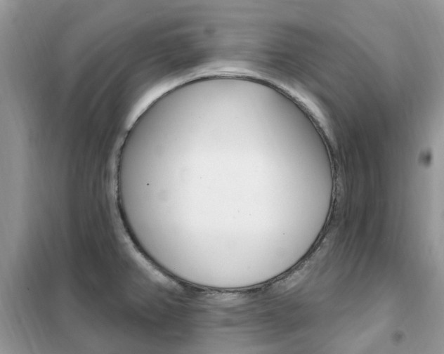 X0000102351382200808010926