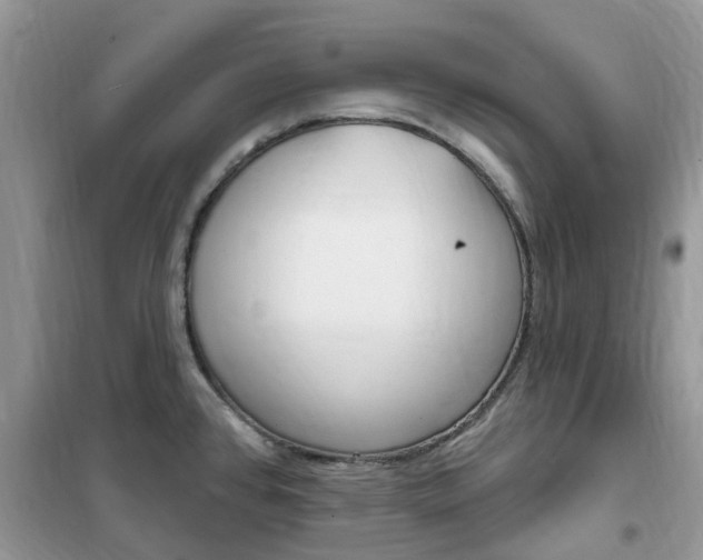 X0000102351384200808010926