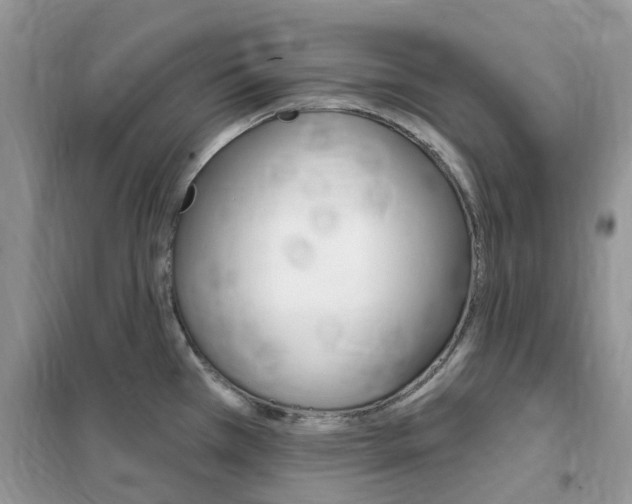 X0000102351385200808010926