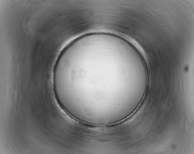 X0000102351388200808010926