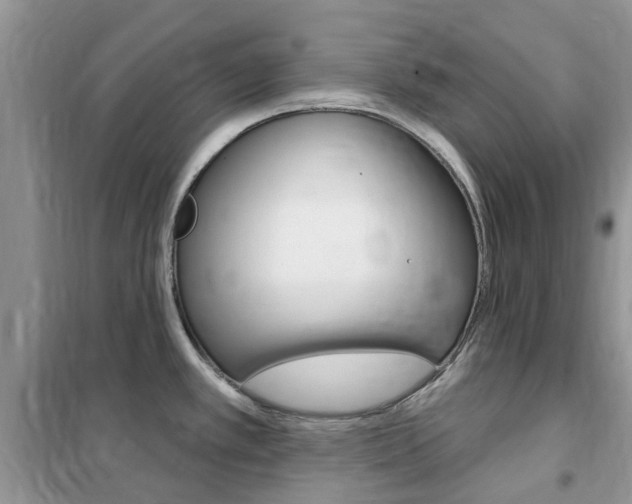X0000102351389200808010926