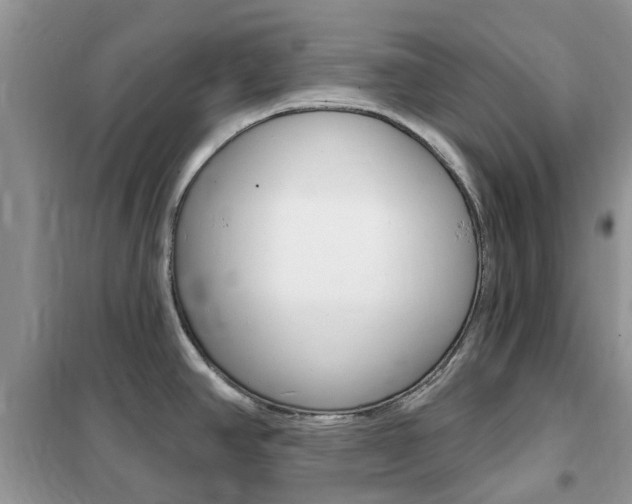 X0000102351390200808010926