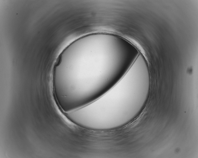 X0000102351391200808010926