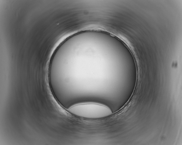 X0000102351392200808010926