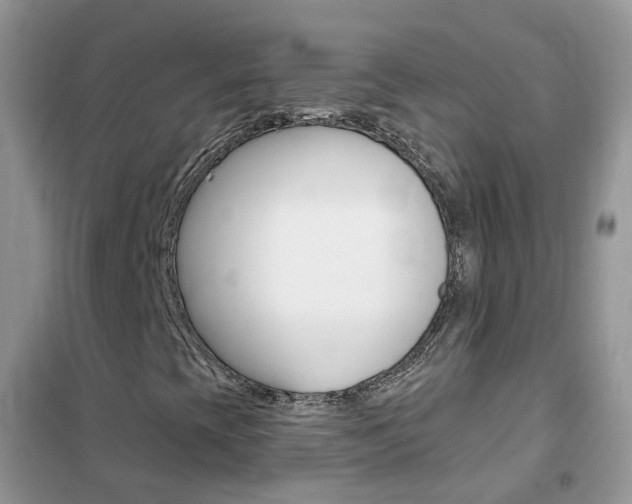X0000102351393200808010925