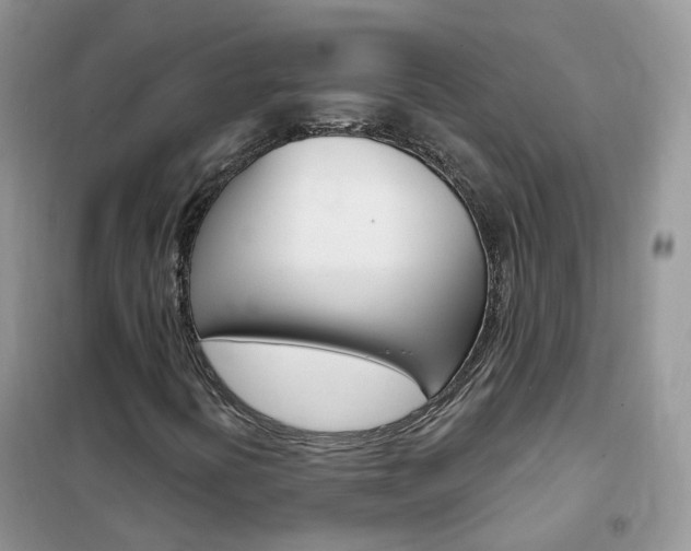 X0000102351394200808010925