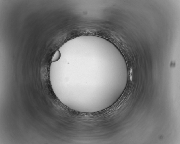 X0000102351395200808010925