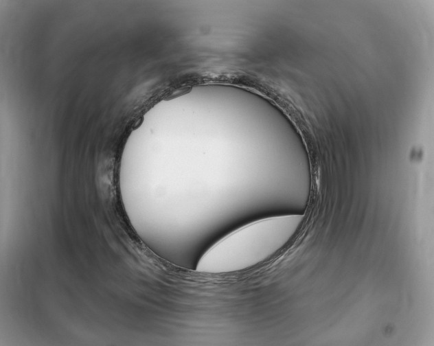 X0000102351396200808010925