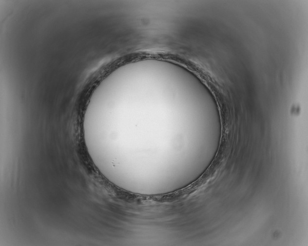 X0000102351398200808010925