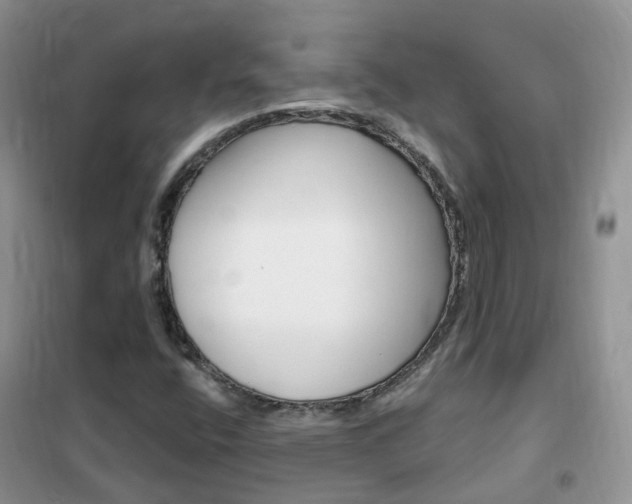 X0000102351400200808010925