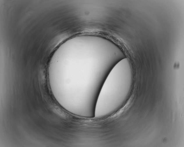 X0000102351401200808010925