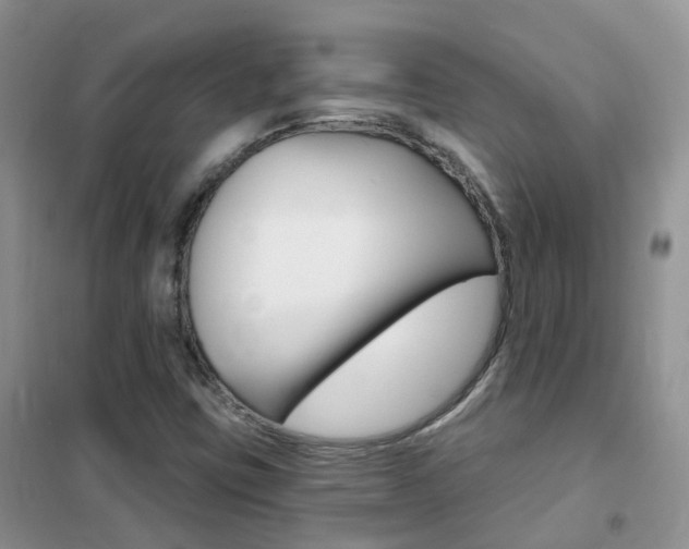 X0000102351403200808010925